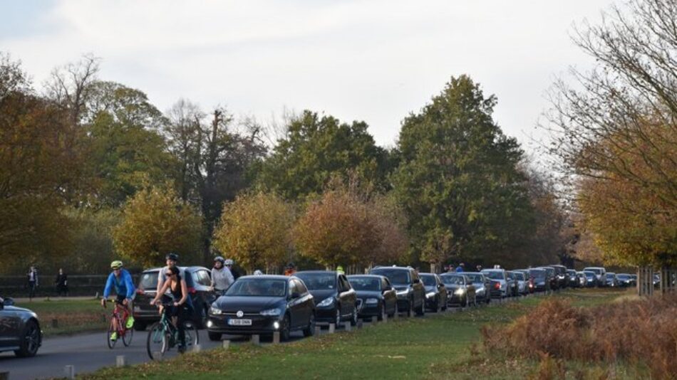 Cyclists navigating through a long line of cars in Richmond Park