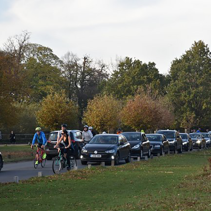 Cyclists navigating through a long line of cars in Richmond Park